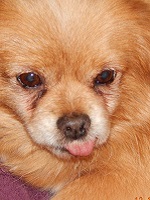 15732105_1336343229771563_8087421302608727208_o