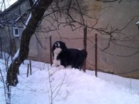 29570818_1941046172634596_7233243231475281009_n