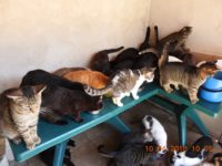 30656639_1968628356543044_6229228916087717888_o