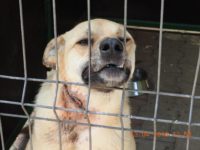 30707046_1975297319209481_443332331088904192_o