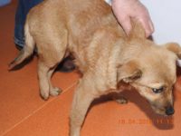 30708865_1976537375752142_6255912641659666432_o