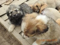 30739795_1975351475870732_3230691330812280832_o