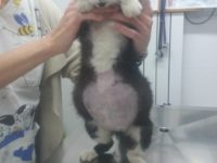 31189949_1981811451891401_2037202120632958976_n