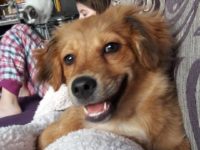 31239487_1982831791789367_6211829758758486016_n