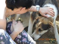 31486863_1989791881093358_3364562334692409344_n