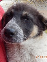 12513637_1056716744400881_2723960031649043406_o