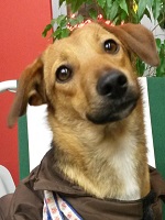 12525366_1013957488676807_4806273553281773424_o