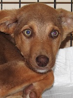 18359357_1531147940291090_8013611740867393514_o