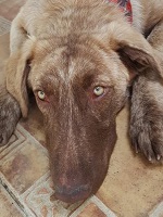 19060038_1583403335065550_1916853339222281369_n