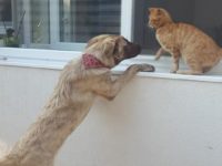 19113640_1583403385065545_8955966984948398568_n