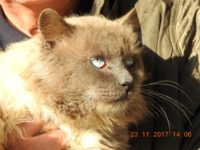 23799940_1780913108647904_1215077724948692689_o