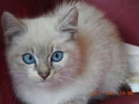 23847195_1780965828642632_2975901674930134818_o