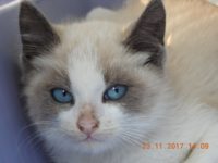 23916570_1780995088639706_5267840434555765379_o