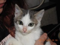 23926397_1785158174890064_2284144955061733802_o