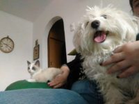 25398759_1816360601769821_6334907496167351758_n