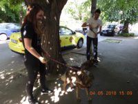 31890985_1998037976935415_3348786730835640320_o