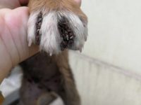 31890990_1997714953634384_8349776582201573376_o