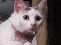 31925024_1884687834896333_6959777572959813632_n