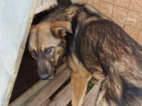 32884117_2016077155131497_7205409003180916736_o