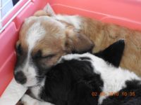 34200322_2035594816513064_373571608251465728_o