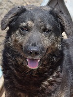 34323467_2036923023046910_6690647736712167424_o