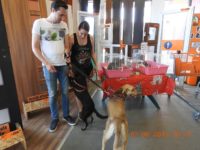 34348145_2035562176516328_2239860062300405760_o