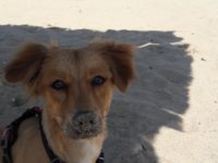 34380045_2037478549658024_2985032945376428032_o