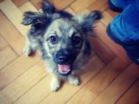 34664318_2041428879262991_5927217055035031552_o