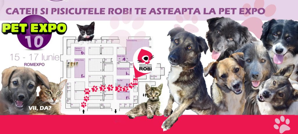 34691012_601708230204789_8745332839551074304_n