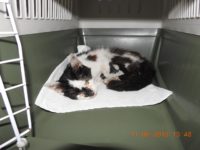 35076669_2048835738522305_8185938835583008768_o