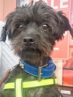 36441903_620416605000618_803028364590841856_n