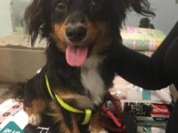 36800565_2100541823351696_1729209590635036672_n