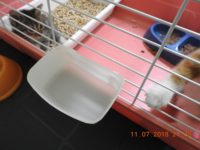 37005266_2109389009133644_3796237991395983360_o