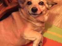 37600744_2125703360835542_1405866229045919744_n