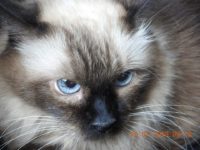 37787965_2133686160037262_7933662601328721920_n