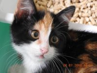 37820075_2133350670070811_987076311748968448_n