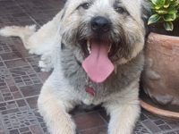 39023674_2173745579364653_3563816463238168576_n