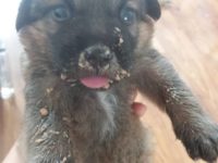 40472401_2210718282334049_9100119978836754432_n