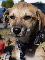 45344798_2324131344326075_4898193532872818688_n