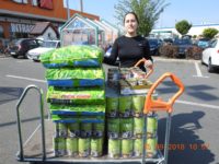 41911884_2236586839747193_219201945238241280_o