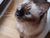 42254701_2245031848902692_1506132828981559296_n