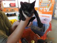 42331092_2246573485415195_4179214667492622336_o