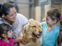 42782808_2259566910782519_1548141358642888704_o