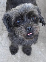 43253671_2271962119542998_130901549391020032_n