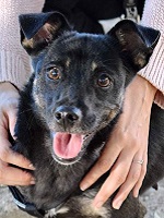 43740783_2279479965457880_6990750222808776704_n