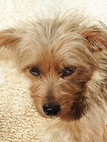 44112827_2286664991406044_7306919464300183552_o