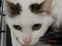 13115918_1082234511849104_8041496998155880740_o