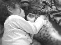 33941977_1781169425239201_6532646318072922112_o