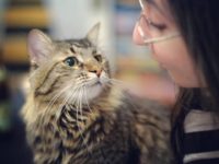 44646672_2303745439697999_8321877445309366272_n