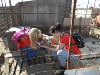 44917863_2309656929106850_2559601385142222848_o